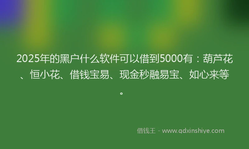 2025年的黑户什么软件可以借到5000有：葫芦花、恒小花、借钱宝易、现金秒融易宝、如心来等。