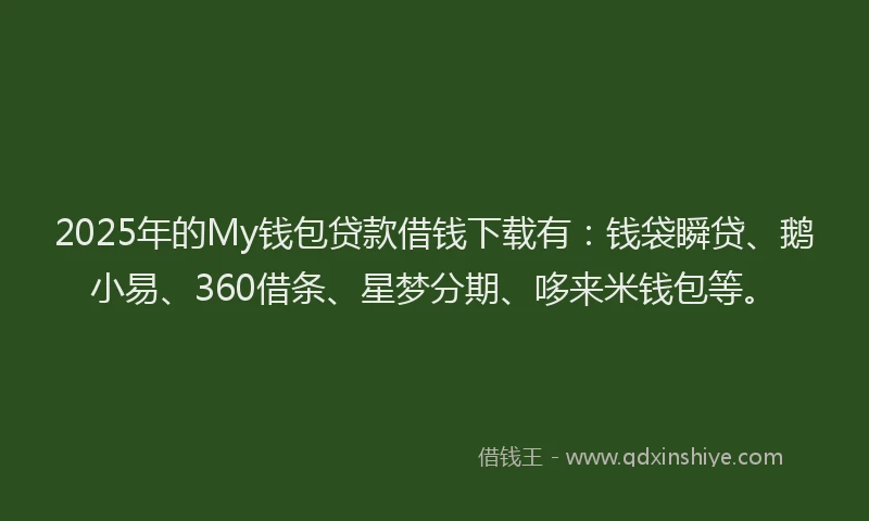 2025年的My钱包贷款借钱下载有：钱袋瞬贷、鹅小易、360借条、星梦分期、哆来米钱包等。