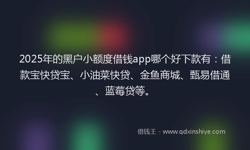 2025年的黑户小额度借钱app哪个好下款有:借款宝快贷宝、小油菜快贷、金鱼商城、甄易借通、蓝莓贷等。