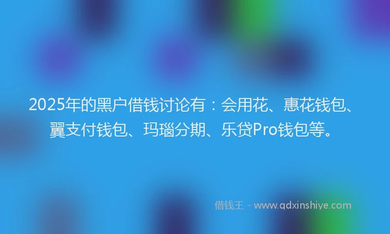 2025年的黑户借钱讨论有：会用花、惠花钱包、翼支付钱包、玛瑙分期、乐贷Pro钱包等。