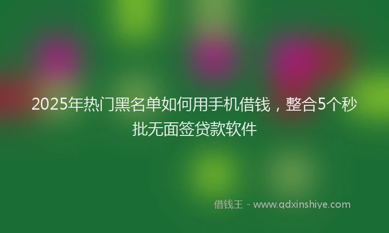2025年热门黑名单如何用手机借钱，整合5个秒批无面签贷款软件