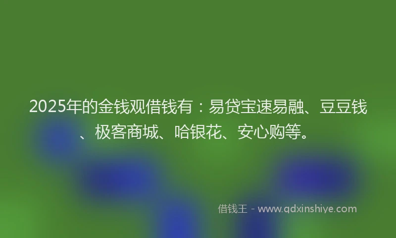 2025年的金钱观借钱有：易贷宝速易融、豆豆钱、极客商城、哈银花、安心购等。