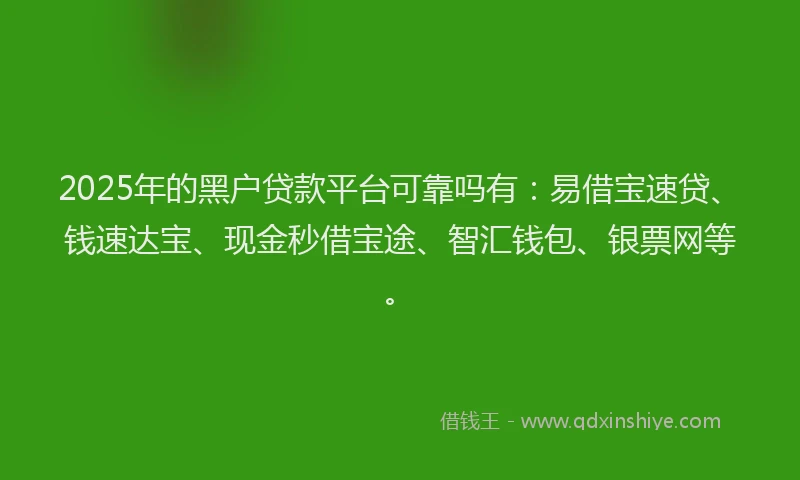 2025年的黑户贷款平台可靠吗有：易借宝速贷、钱速达宝、现金秒借宝途、智汇钱包、银票网等。