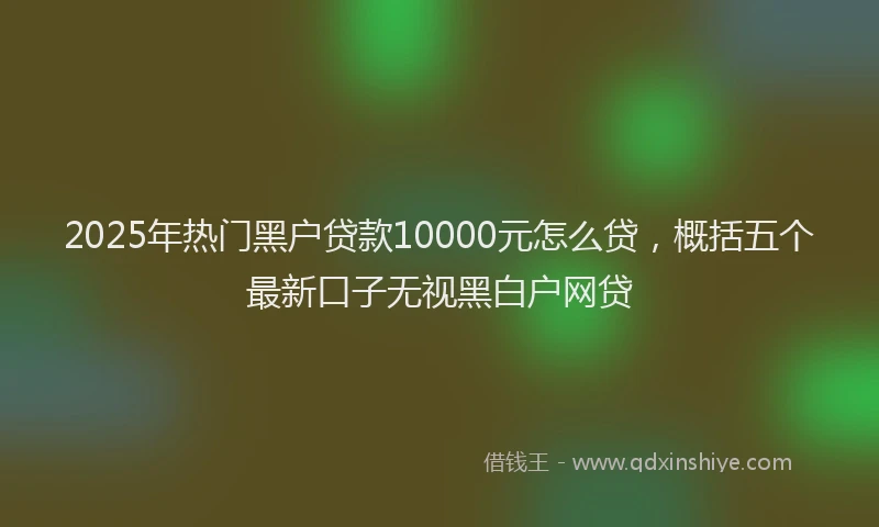 2025年热门黑户贷款10000元怎么贷，概括五个最新口子无视黑白户网贷
