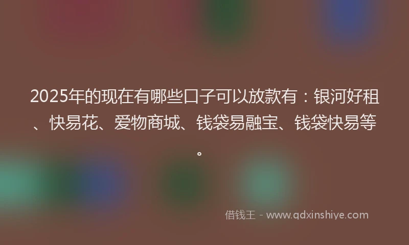 2025年的现在有哪些口子可以放款有：银河好租、快易花、爱物商城、钱袋易融宝、钱袋快易等。