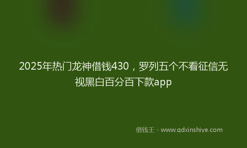 2025年热门龙神借钱430，罗列五个不看征信无视黑白百分百下款app