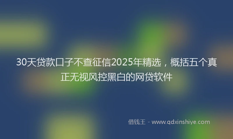 30天贷款口子不查征信2025年精选，概括五个真正无视风控黑白的网贷软件