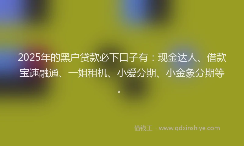 2025年的黑户贷款必下口子有：现金达人、借款宝速融通、一姐租机、小爱分期、小金象分期等。