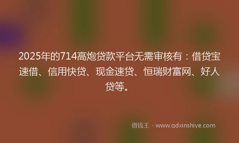 2025年的714高炮贷款平台无需审核有：借贷宝速借、信用快贷、现金速贷、恒瑞财富网、好人贷等。