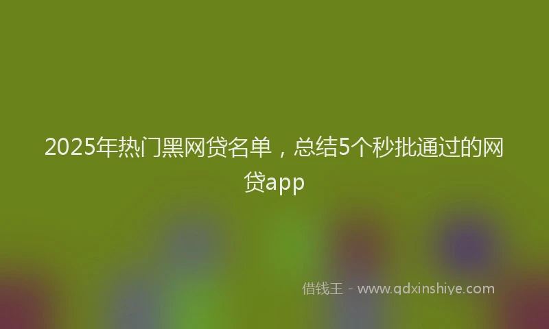 2025年热门黑网贷名单，总结5个秒批通过的网贷app