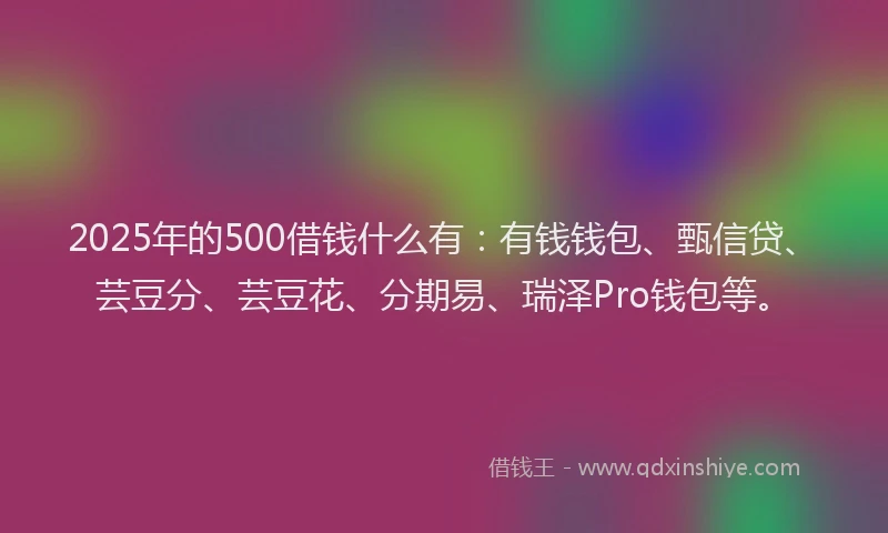 2025年的500借钱什么有：有钱钱包、甄信贷、芸豆分、芸豆花、分期易、瑞泽Pro钱包等。