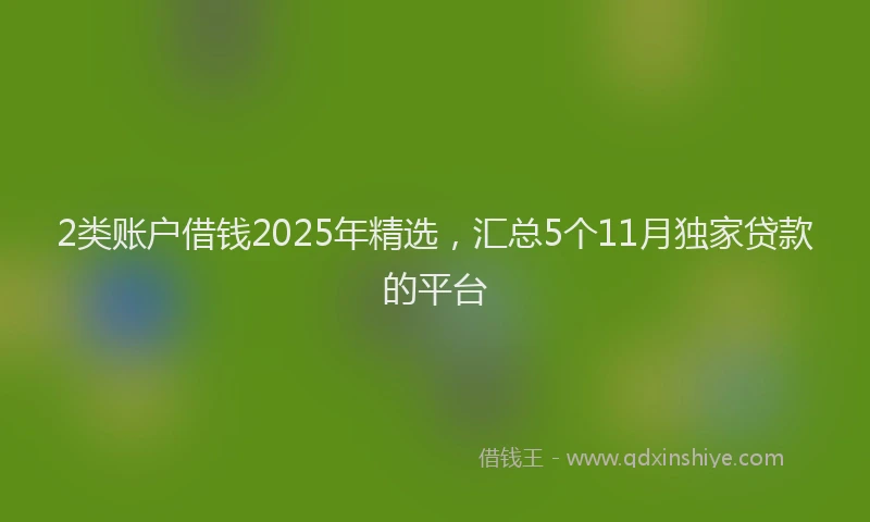 2类账户借钱2025年精选，汇总5个11月独家贷款的平台