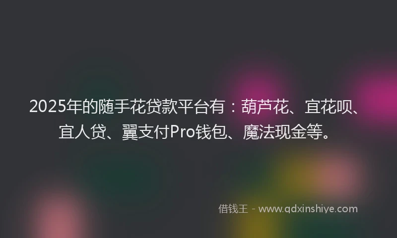 2025年的随手花贷款平台有：葫芦花、宜花呗、宜人贷、翼支付Pro钱包、魔法现金等。