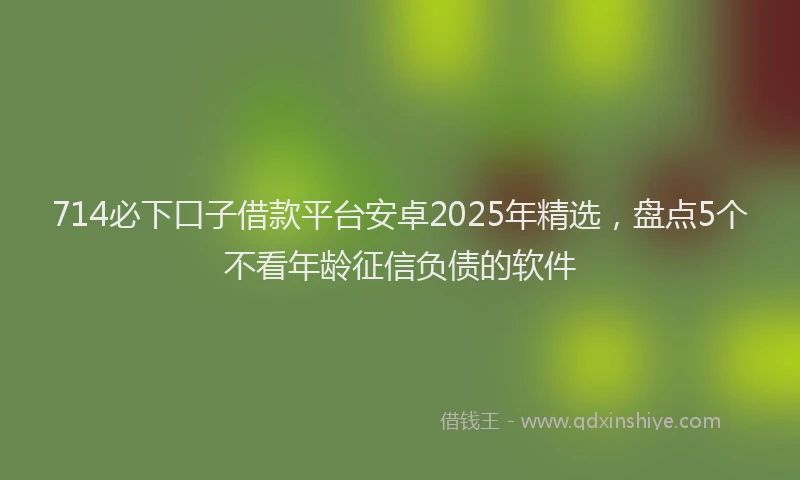 714必下口子借款平台安卓2025年精选，盘点5个不看年龄征信负债的软件