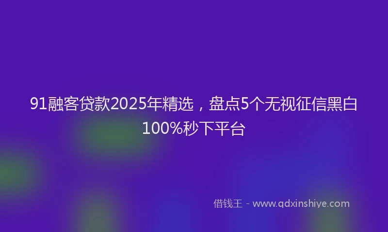 91融客贷款2025年精选，盘点5个无视征信黑白100%秒下平台