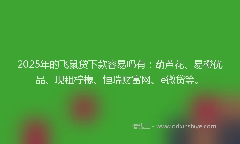 2025年的飞鼠贷下款容易吗有：葫芦花、易橙优品、现租柠檬、恒瑞财富网、e微贷等。