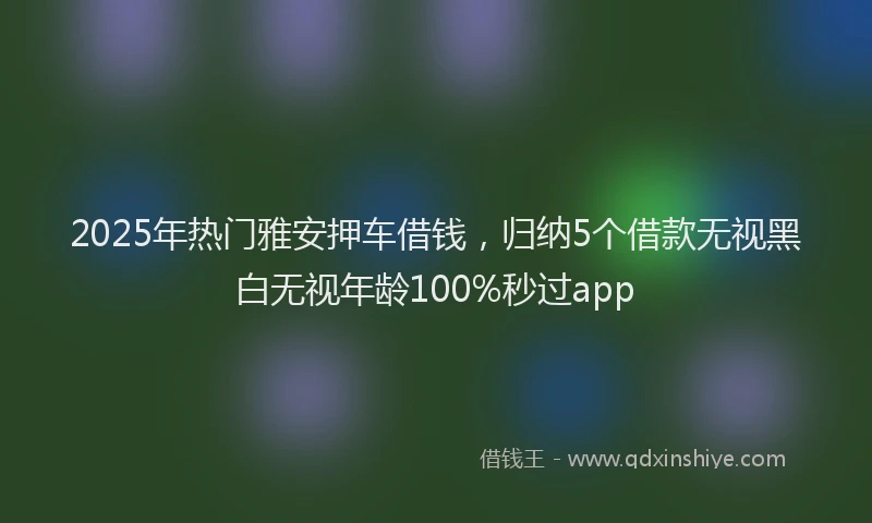 2025年热门雅安押车借钱,归纳5个借款无视黑白无视年龄100%秒过app