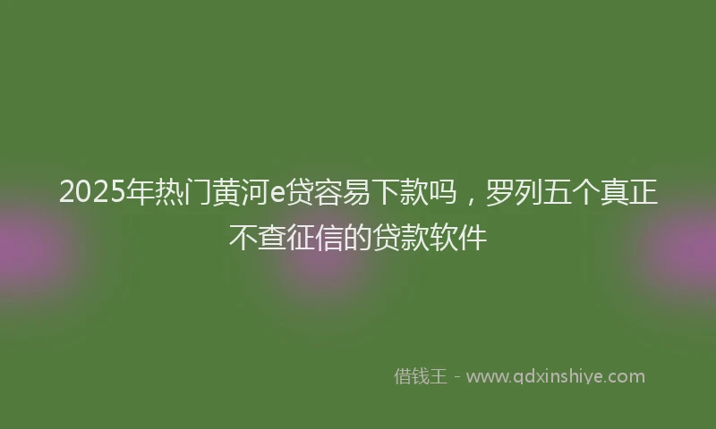 2025年热门黄河e贷容易下款吗，罗列五个真正不查征信的贷款软件