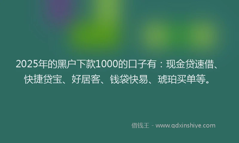 2025年的黑户下款1000的口子有：现金贷速借、快捷贷宝、好居客、钱袋快易、琥珀买单等。