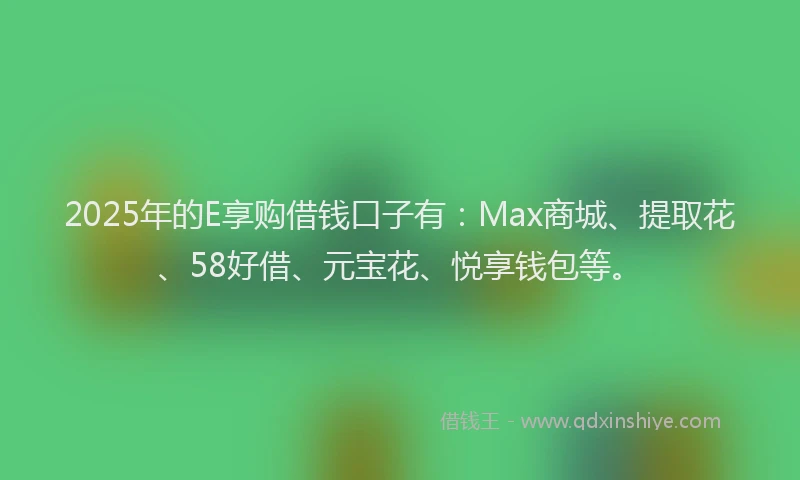 2025年的E享购借钱口子有：Max商城、提取花、58好借、元宝花、悦享钱包等。