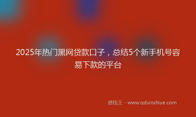 2025年热门黑网贷款口子，总结5个新手机号容易下款的平台