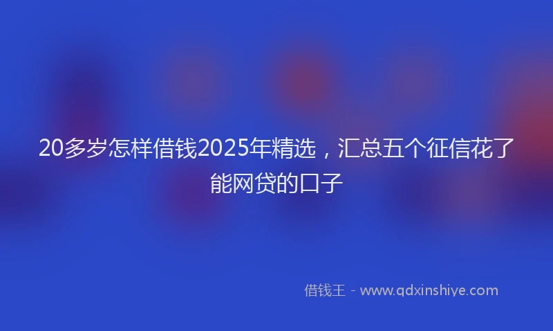 20多岁怎样借钱2025年精选，汇总五个征信花了能网贷的口子