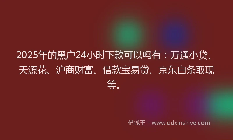 2025年的黑户24小时下款可以吗有：万通小贷、天源花、沪商财富、借款宝易贷、京东白条取现等。