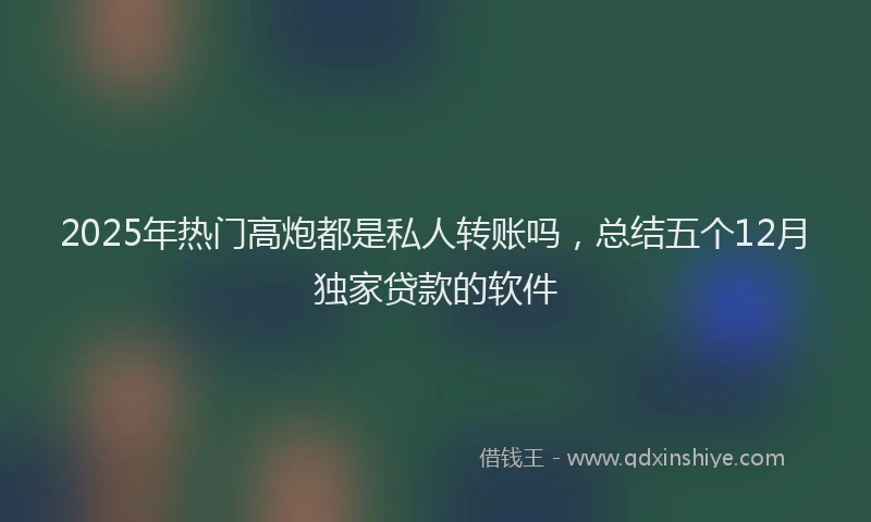 2025年热门高炮都是私人转账吗，总结五个12月独家贷款的软件