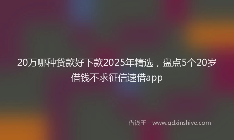 20万哪种贷款好下款2025年精选，盘点5个20岁借钱不求征信速借app