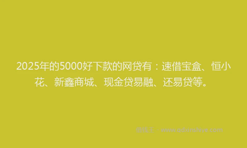 2025年的5000好下款的网贷有：速借宝盒、恒小花、新鑫商城、现金贷易融、还易贷等。