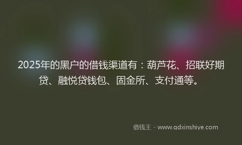 2025年的黑户的借钱渠道有：葫芦花、招联好期贷、融悦贷钱包、固金所、支付通等。