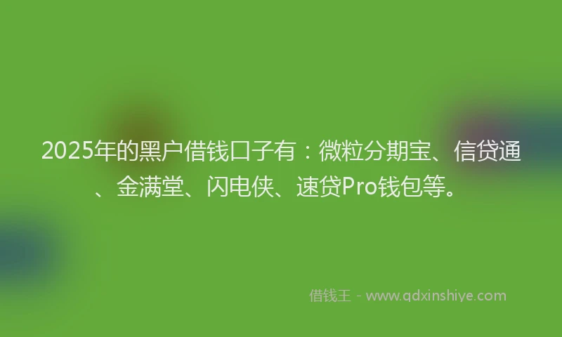 2025年的黑户借钱口子有：微粒分期宝、信贷通、金满堂、闪电侠、速贷Pro钱包等。