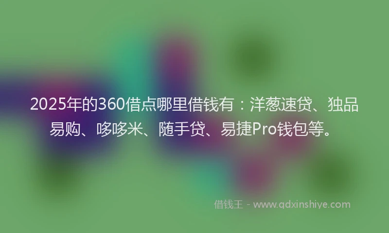 2025年的360借点哪里借钱有：洋葱速贷、独品易购、哆哆米、随手贷、易捷Pro钱包等。