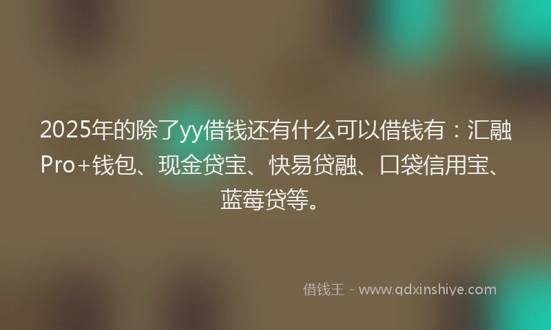 2025年的除了yy借钱还有什么可以借钱有：汇融Pro+钱包、现金贷宝、快易贷融、口袋信用宝、蓝莓贷等。