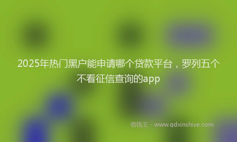 2025年热门黑户能申请哪个贷款平台，罗列五个不看征信查询的app