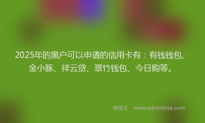2025年的黑户可以申请的信用卡有：有钱钱包、金小豚、祥云贷、翠竹钱包、今日购等。
