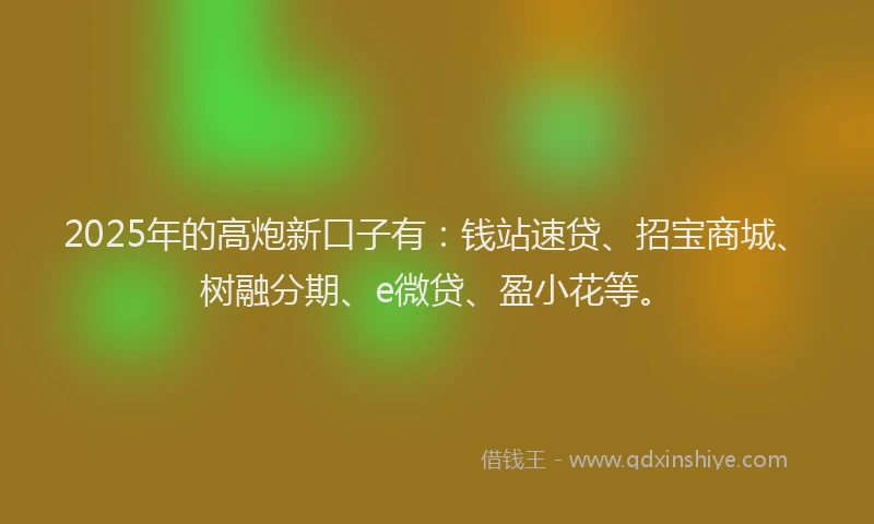 2025年的高炮新口子有：钱站速贷、招宝商城、树融分期、e微贷、盈小花等。