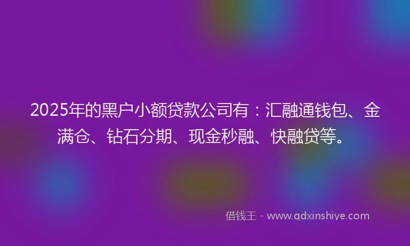 2025年的黑户小额贷款公司有：汇融通钱包、金满仓、钻石分期、现金秒融、快融贷等。