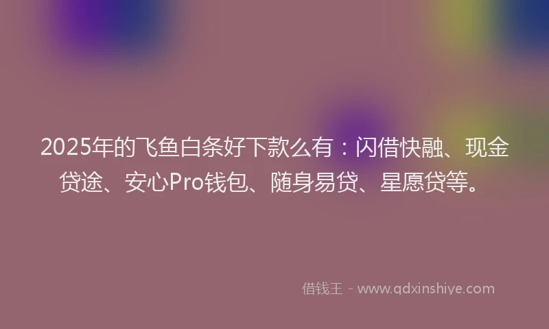 2025年的飞鱼白条好下款么有：闪借快融、现金贷途、安心Pro钱包、随身易贷、星愿贷等。