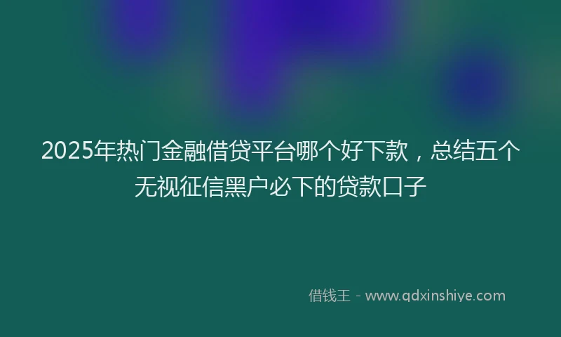 2025年热门金融借贷平台哪个好下款，总结五个无视征信黑户必下的贷款口子
