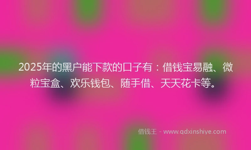 2025年的黑户能下款的口子有：借钱宝易融、微粒宝盒、欢乐钱包、随手借、天天花卡等。