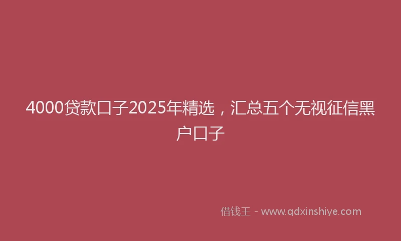 4000贷款口子2025年精选，汇总五个无视征信黑户口子