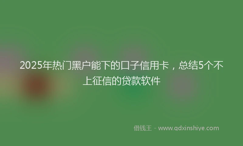 2025年热门黑户能下的口子信用卡，总结5个不上征信的贷款软件
