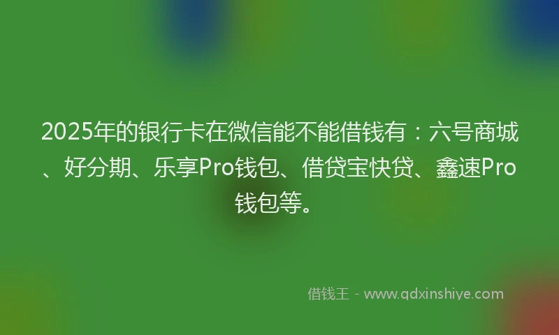 2025年的银行卡在微信能不能借钱有：六号商城、好分期、乐享Pro钱包、借贷宝快贷、鑫速Pro钱包等。