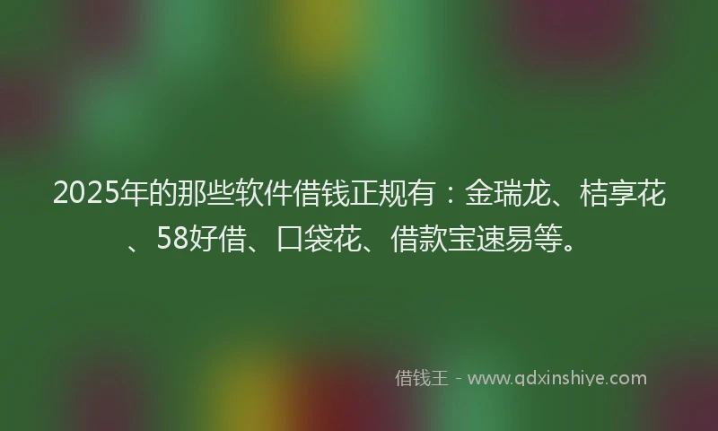 2025年的那些软件借钱正规有：金瑞龙、桔享花、58好借、口袋花、借款宝速易等。