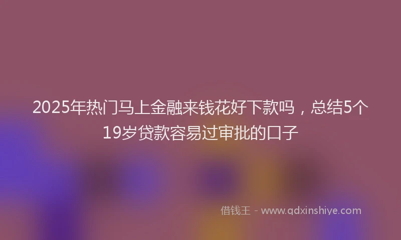 2025年热门马上金融来钱花好下款吗，总结5个19岁贷款容易过审批的口子