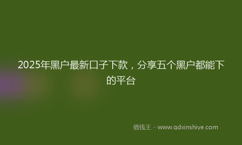 2025年黑户最新口子下款，分享五个黑户都能下的平台