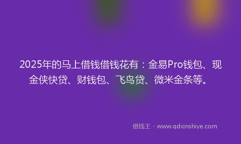 2025年的马上借钱借钱花有：金易Pro钱包、现金侠快贷、财钱包、飞鸟贷、微米金条等。