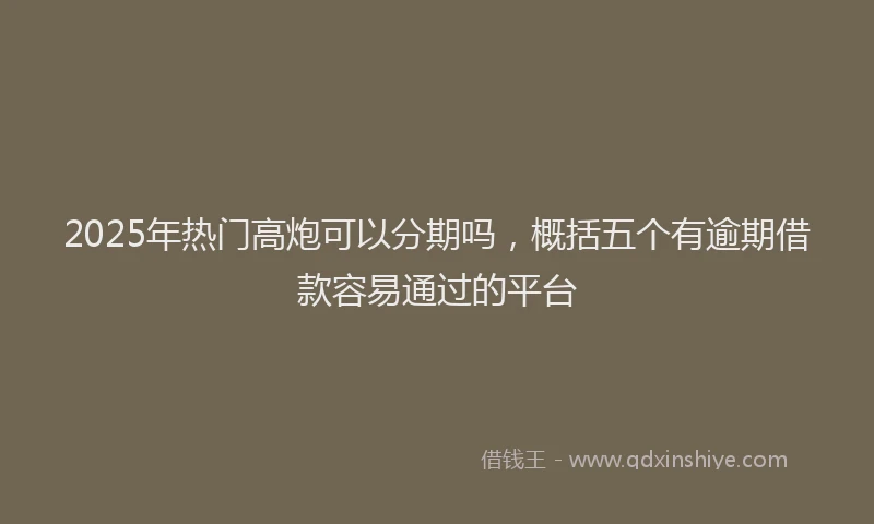 2025年热门高炮可以分期吗，概括五个有逾期借款容易通过的平台