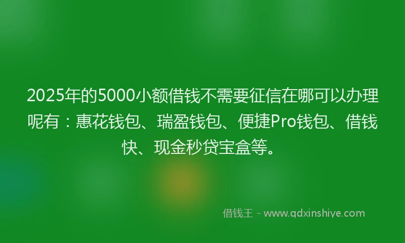 2025年的5000小额借钱不需要征信在哪可以办理呢有：惠花钱包、瑞盈钱包、便捷Pro钱包、借钱快、现金秒贷宝盒等。